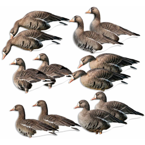 Avery AVERY FFD Elite Specklebelly Silhouette Decoys (77018) - $142.99 at GritrSports