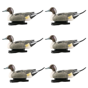 Avery AVERY Hunter Series Life Size All Drake Pintail Decoys, 6-Pack (73050) - $50.99 at GritrSports