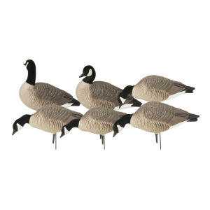 Avery AVERY Hunter Series Canada Goose Harvester Decoys (71606) - $157.99 at GritrSports