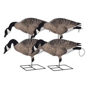 AVERY 4-Pack Pro Grade XD Full Body Canada Goose Feeder Decoys (71561)