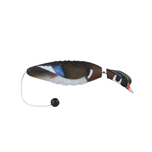 Avery AVERY Wood Duck EZ Bird (02032) - $21.99 at GritrSports