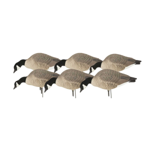 Avery AVERY Hunter Series Canada Goose Feeder Decoys (71605) - $109.99 at GritrSports