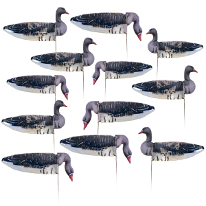 Avery AVERY Pro Grade Specklebelly Goose Regular Sock Decoys with Painted Heads (77505) - $81.99 at GritrSports