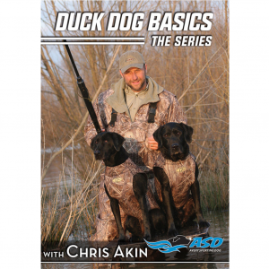 AVERY Duck Dog Basics Combo Packs DVD (89999)