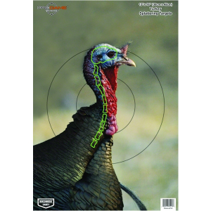 BIRCHWOOD CASEY Pregame 12x18in 8-Pack Turkey Target (35403)