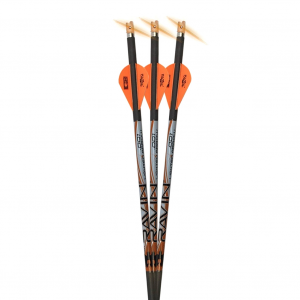 RAVIN CROSSBOWS Ravin 400 Grain 001 Premium Match-Grade Lighted Arrows (R134)