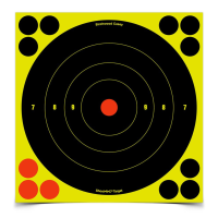 BIRCHWOOD CASEY Shoot-N-C 8in Bull's-Eye 30 Targets, 360 Pasters (34825-30)