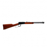 ROSSI Rio Bravo .22LR 18in 15rd Lever-Action Rifle (RL22181WD)