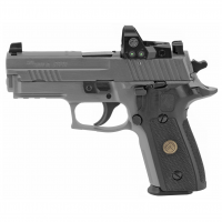 SIG SAUER P229 9mm 3.9in 3x15rd Romeo1Pro Legion Gray Pistol (E29R-9-LEGION-RXP)