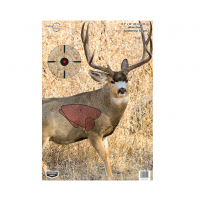 BIRCHWOOD CASEY Pregame 16.5x24in Mule Deer Targets, 3-Pack (35402)