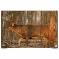 BIRCHWOOD CASEY Eze-Scorer 23x35in Whitetail Deer Target, 2-Pack (37481)