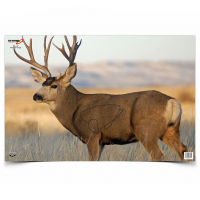 BIRCHWOOD CASEY Eze-Scorer 23x35in Mule Deer Target, 2-Pack (37482)