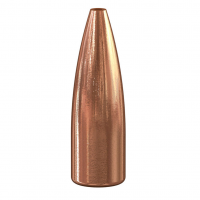 SPEER TNT .22 Cal 55Gr JHP 100rd Box Bullets (1032)