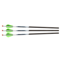 EXCALIBUR ProFlight 16.5in Illuminated Carbon 3 Pack Crossbow Arrows (22EXP16IL-3)