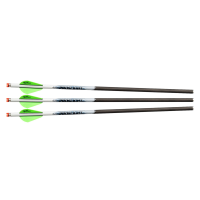 EXCALIBUR ProFlight 16.5in Illuminated Carbon 3 Pack Crossbow Arrows (22EXP16IL-3)