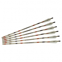 EXCALIBUR Aluminum 20in XX75 Vanes 6 Pack Crossbow Arrows (2219V20-6)