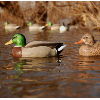 AVERY GHG Essential Series Magnum Mallard Decoys, 6-Pack (70002)