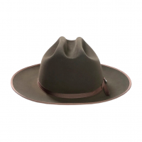 STETSON Royal Deluxe Open Road Sage Hat (TFROPR-362642)