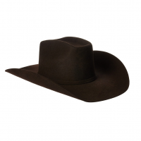 ARIAT ACCESSORIES Chocolate Cowboy Hat (A7520247)