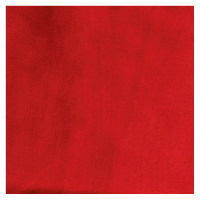 WYOMING TRADERS Solid Red Regular Silk Scarf (SR)