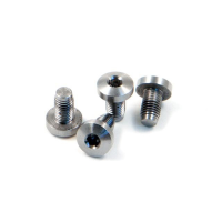 WILSON COMBAT Pack of 4 Stainless Hex Head Grip Screws (313S)