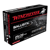 WINCHESTER Ballistic Silvertip .25-06 Rem 85Gr BST 20rd Box Rifle Ammo (SBST2506A)