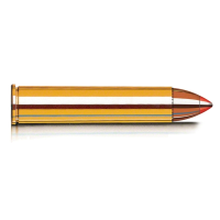 HORNADY LEVERevolution 444 Marlin 265 Grain FTX Ammo, 20 Round Box (82744)