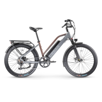 XPRIT Urban Basic Backroad Electric Bike (UBB-GY)