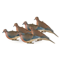 AVERY 6 Pack of Mourning Dove Decoys (72005)