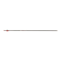 VICTORY ARCHERY RIP Sport Fletched 9.3 GPI 6-pc Arrows (RIPAS-250FQ-6)