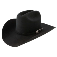 STETSON Apache 4X Buffalo Black Felt Western Hat (SBAPCH-754007)