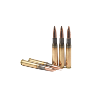 PMC Bronze 50 BMG 660 Grain FMJ Boat Tail Ammo, 10 Round Box (50A)