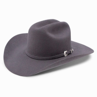 RESISTOL 3X Tucker 4in Brim Granite Gray Cowboy Hat (RWTCKR-754049)