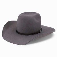 RESISTOL Hooey 4X Day Money Felt Gray Cowboy Hat  (RWHODM-904253)