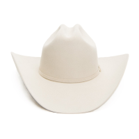 STETSON Unisex Adults Skyline Silverbelly Hat (SFSKYL-754061)