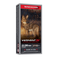 WINCHESTER AMMO Varmint X 22-250 Rem 55Gr Extreme Point 20rd Box Rifle Ammo (X22250PXP)