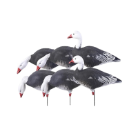 AVERY 6-Pack Pro-Grade Full Body Blue Goose Harvester Decoys (71202)