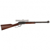 HENRY 22WMR 19.25in Barrel 11Rd Rifle (H001M)