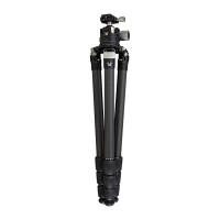 VORTEX Radian Carbon With Ball Head Tripod Kit (TR-RADB)