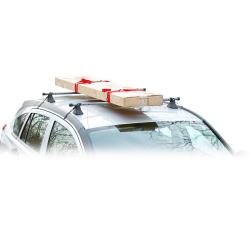 Apex Steel Universal Strap-Attached Roof Cross Bars