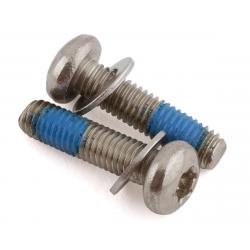 Paul Components Stainless Mounting Bolts (20mm) (T-25) (Pair) - 047SCREW01