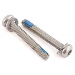 Paul Components Stainless Mounting Bolts (35mm) (T-25) (Pair) - 047SCREW04