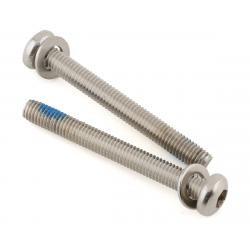 Paul Components Stainless Mounting Bolts (45mm) (T-25) (Pair) - 047SCREW06