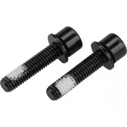 TRP Mounting Bolts for Flat Mount Rear Caliper - 22mm - ABOT000214