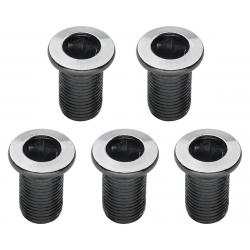 Problem Solvers 12.5mm Inner Chainring Bolts (Silver) (Chromoly) - M8-P0.75*12.5MM