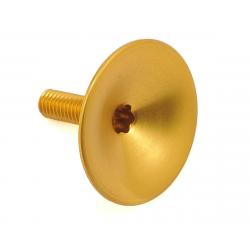 Absolute Black Integrated Top Cap for Headset (Gold) - TPGL