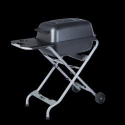 Graphite PKTX Grill & Smoker Stainless