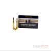 Nosler - Trophy Grade - 30-06 Springfield - 180 Grain - Accubond SP - Retail / 20