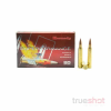 Hornady - Superformance - 300 Win Mag - 165 Grain - CX - Retail / 200