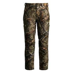 Morphic V2 Waterproof Pant
